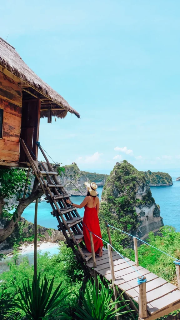 East Nusa Penida Tour Package